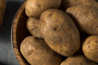 Raw Brown Organic Russet Potatoes in a Bowl
