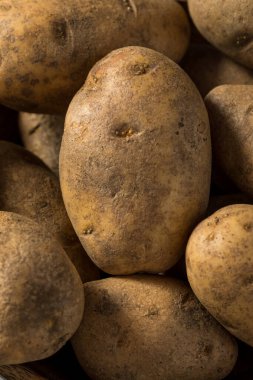 Raw Brown Organic Russet Potatoes in a Bowl