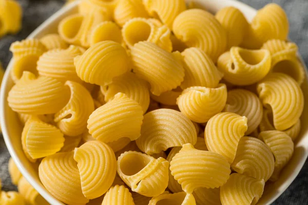 Italian Lumahce Media Pasta Shells Bowl — стоковое фото