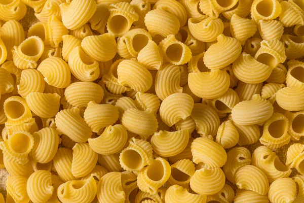 Італійська Lumahce Media Pasta Shells Bowl — стокове фото