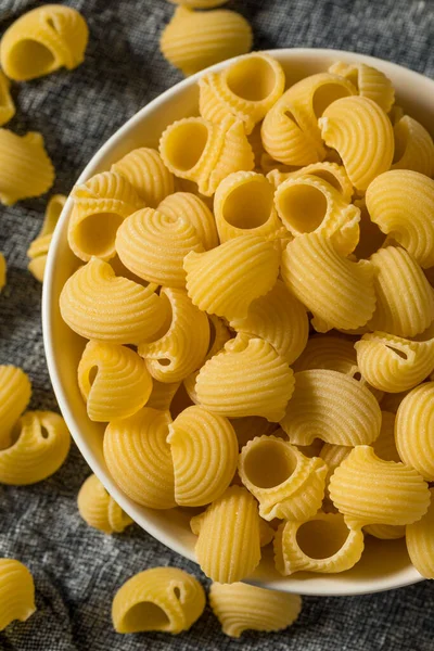 Italian Lumahce Media Pasta Shells Bowl — стоковое фото