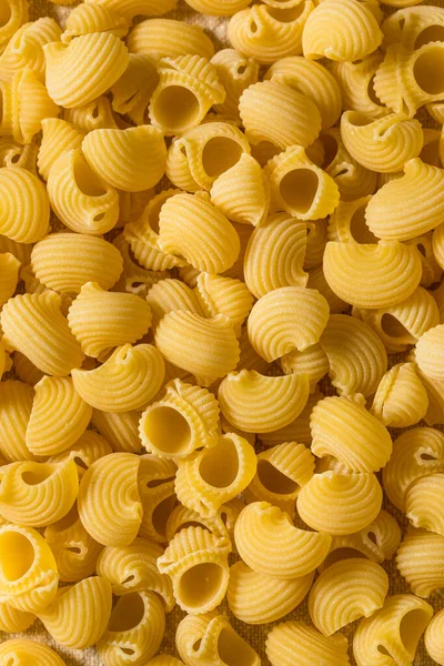 Italian Lumahce Media Pasta Shells Bowl — Stock Photo, Image