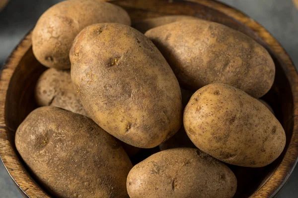 Rohe Braune Bio Russet Kartoffeln Einer Schüssel — Stockfoto