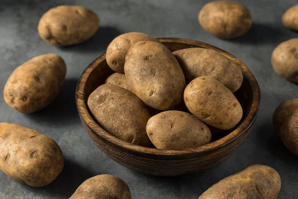 Raw Brown Organic Russet Potatoes Bowl — стокове фото