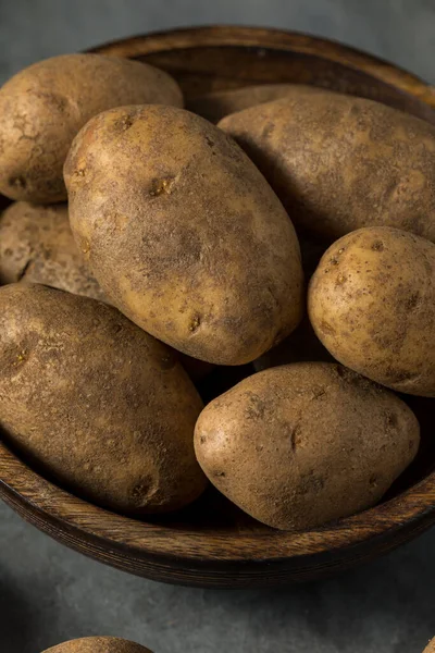 Raw Brown Organic Russet Potatoes Bowl — Stock Photo, Image
