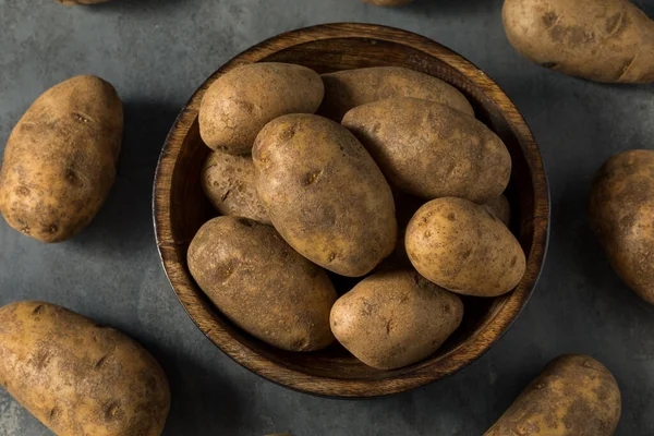 Raw Brown Organic Russet Potatoes Bowl — Stock Photo, Image