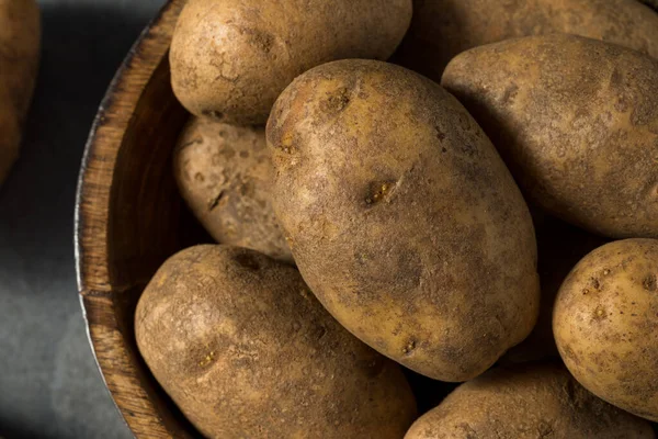 Raw Brown Organic Russet Potatoes Bowl — 스톡 사진