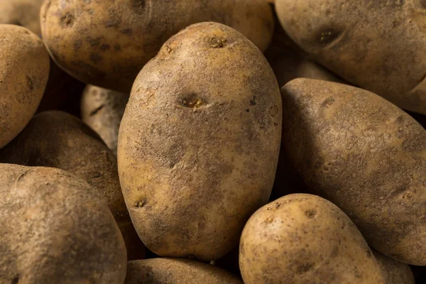Raw Brown Organic Russet Potatoes Bowl — Fotografia de Stock