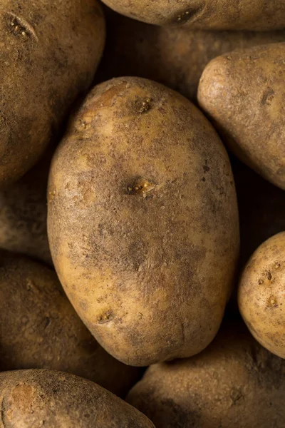 Patatas Russet Orgánicas Marrones Crudas Tazón — Foto de Stock