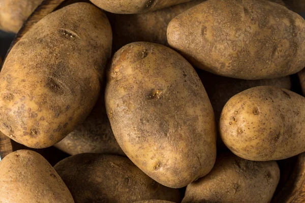 Raw Brown Organic Russet Potatoes Bowl — Zdjęcie stockowe