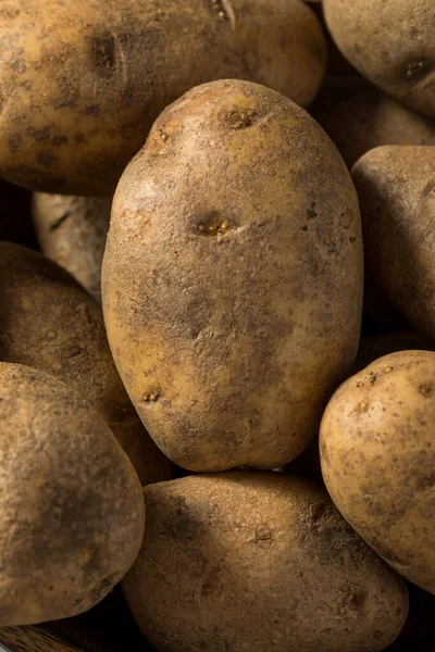 Batatas Rústicas Orgânicas Marrons Cruas Uma Tigela — Fotografia de Stock