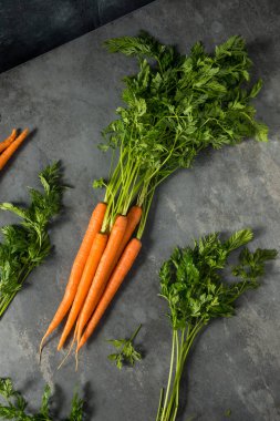 Organik Çiğ Turuncu Havuç Bir demet