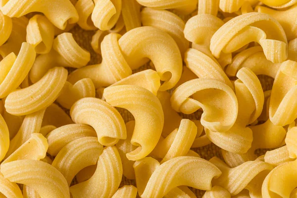 Organic Dry Cavatappi Pasta Bowl — Stock Photo, Image