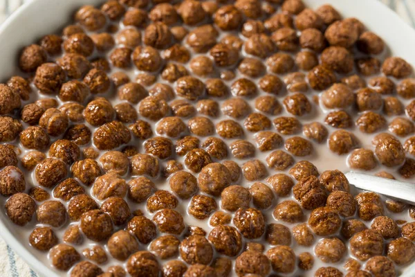 Здоровий Солодкий Шоколадний Лист Зерновий Молоком — стокове фото