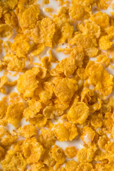 Zelfgemaakte Gezonde Cornflakes Granen Met Volle Melk — Stockfoto