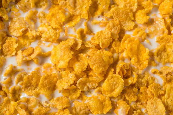 Cereal Flocos Milho Saudável Caseiro Com Leite Integral — Fotografia de Stock