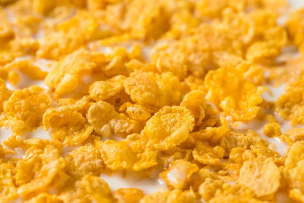 Homemade Healthy Corn Flakes Cereal Whole Milk — Stock Photo, Image
