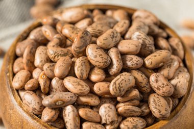 Kuru Organik Çiğ Pinto Fasulyeleri Kasede