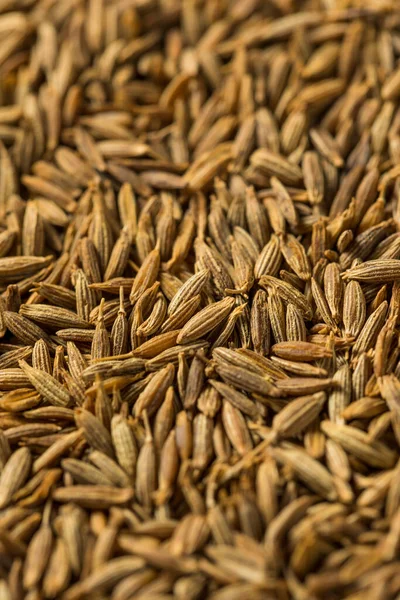 Dry Organic Raw Cumin Seeds Bowl — Stock Photo, Image
