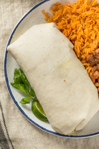 Hausgemachtes Mexikanisches Käsesteak Burrito Mit Guacamole Und Salsa — Stockfoto