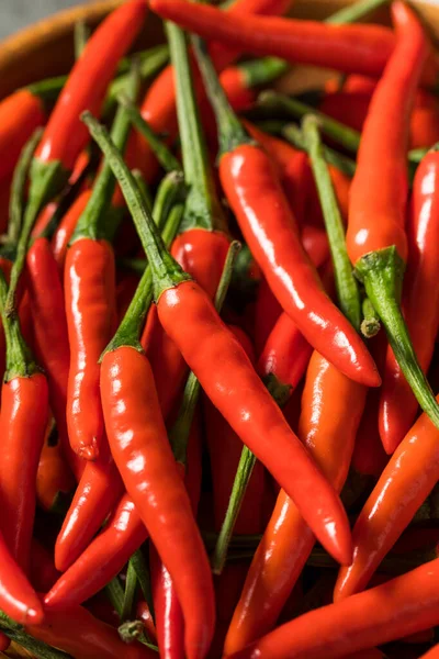 Pedas Organik Merah Burung Mata Chilli Peppers Dalam Mangkuk — Stok Foto