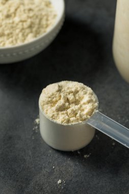 Bir kepçedeki organik sağlıklı vanilyalı süt tozu.