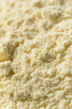 Bir kepçedeki organik sağlıklı vanilyalı süt tozu.