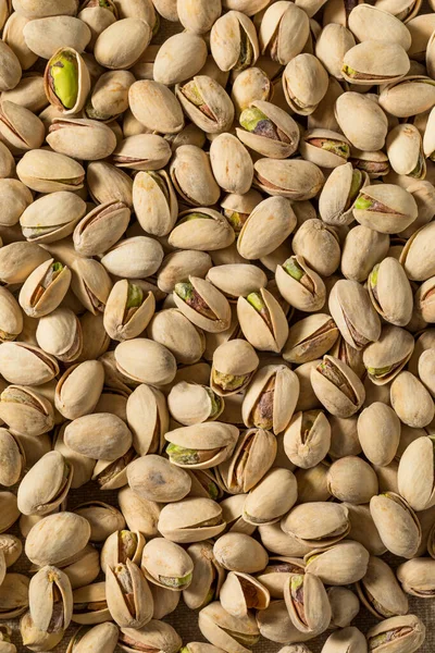 Salted Roasted Pistachios Bowl — Stock Photo, Image