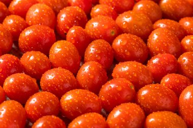 Kırmızı Çiğ Organik Kiraz Domatesleri Yemeye Hazır