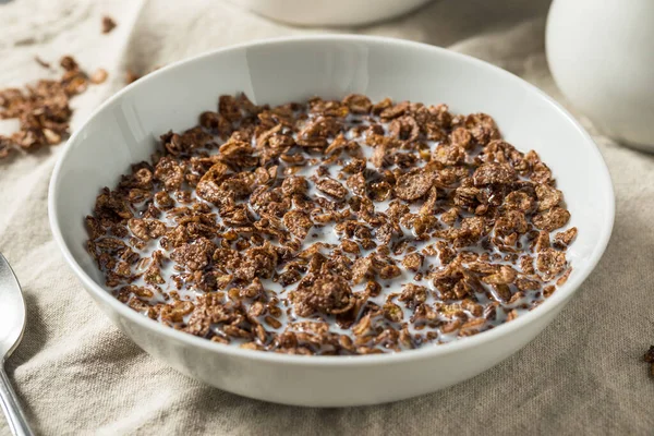 健康甜巧克力可可早餐谷类加全脂牛奶 — 图库照片