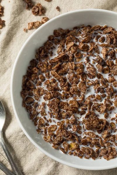 Healthy Sweet Chocolate Cocoa Breakfast Cereal Whole Milk — Stock Photo, Image