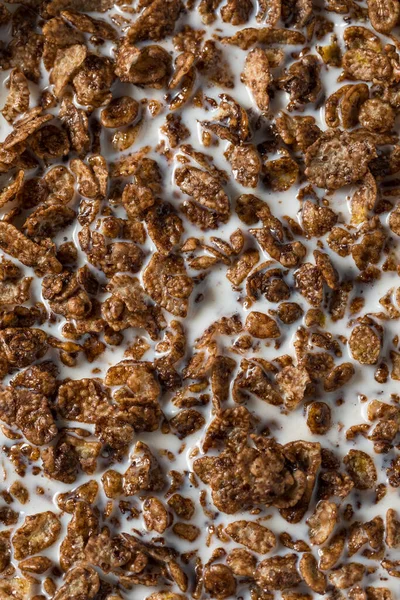 Здоровий Солодкий Шоколадний Какао Сніданок Цілим Молоком — стокове фото