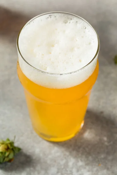 Refrescante Cerveza Fría Ipa Nebulosa Vaso Cerveza — Foto de Stock