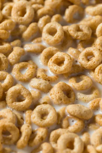 Anillos Cereales Para Desayuno Avena Saludable Con Leche Entera —  Fotos de Stock