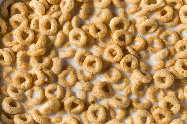 Anillos Cereales Para Desayuno Avena Saludable Con Leche Entera —  Fotos de Stock