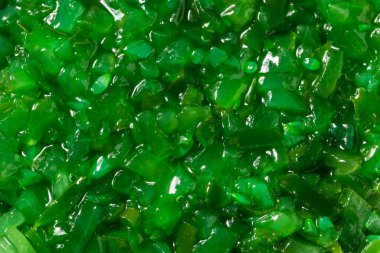 Chicago Style Neon Pickle Keyfi