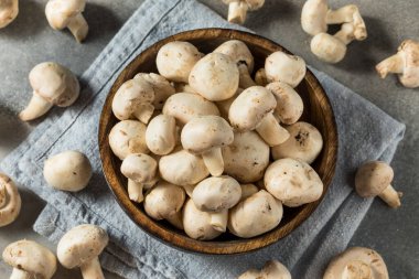 Çiğ Beyaz Organik Şampiyon Mantarlar Kasede