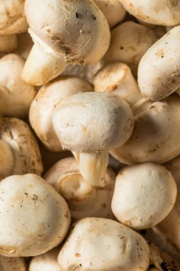 Çiğ Beyaz Organik Şampiyon Mantarlar Kasede