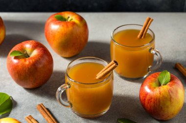 Tarçın Çubuklu Ev Yapımı Elma Şarabı