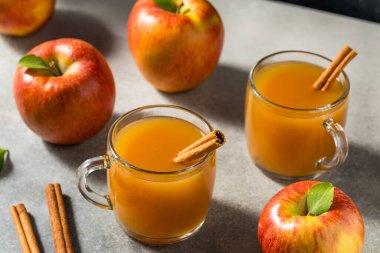 Tarçın Çubuklu Ev Yapımı Elma Şarabı