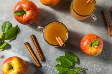 Tarçın Çubuklu Ev Yapımı Elma Şarabı