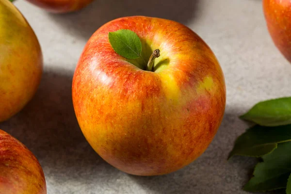 Czerwone Organiczne Surowe Zazdrość Jabłka Kilka — Zdjęcie stockowe
