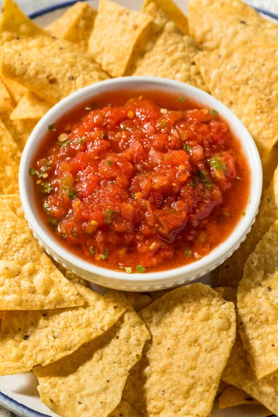 Gesunde Hausgemachte Bio Tortilla Chips Und Salsa Ready Eat — Stockfoto