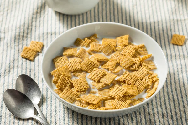 Healthy Organic Cinnamon Whole Wheat Cereal Milk — Stock Photo, Image