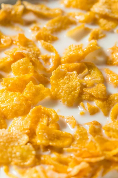 Cereal Copos Maíz Esmerilado Ecológico Dulce Con Leche Entera —  Fotos de Stock