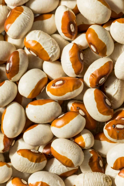 Organic Raw Yellow Eyed Beans Bowl — Stock Photo, Image