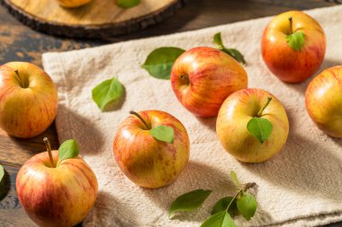 Sağlıklı Organik Kraliyet Gala Elmaları