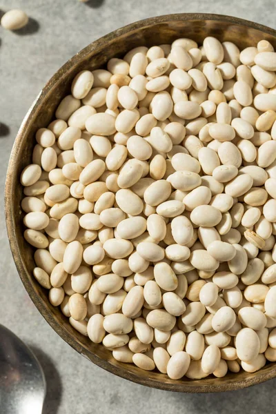Organic White Navy Beans in a Bowl