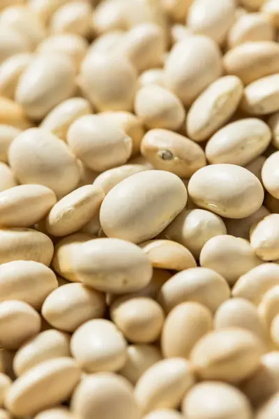 Organic White Navy Beans in a Bowl