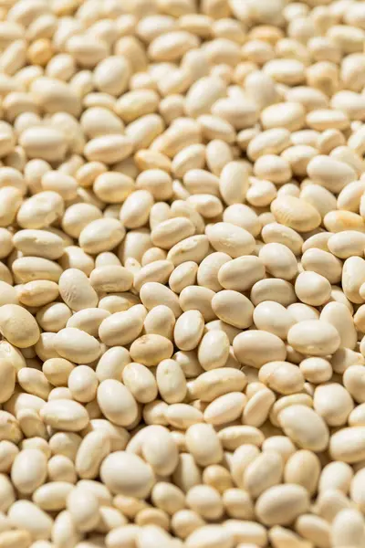 Organic White Navy Beans Bowl — Stock Photo, Image